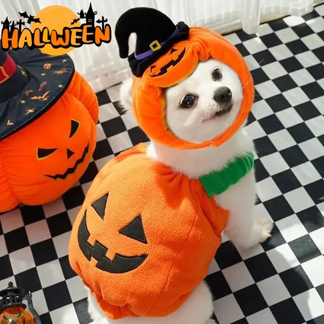 Halloween Pumpkin Vest Costume for Dogs, Cats & Small Animals – Funny Holiday Pet Harness Apparel for Halloween, Thanksgiving & Christmas