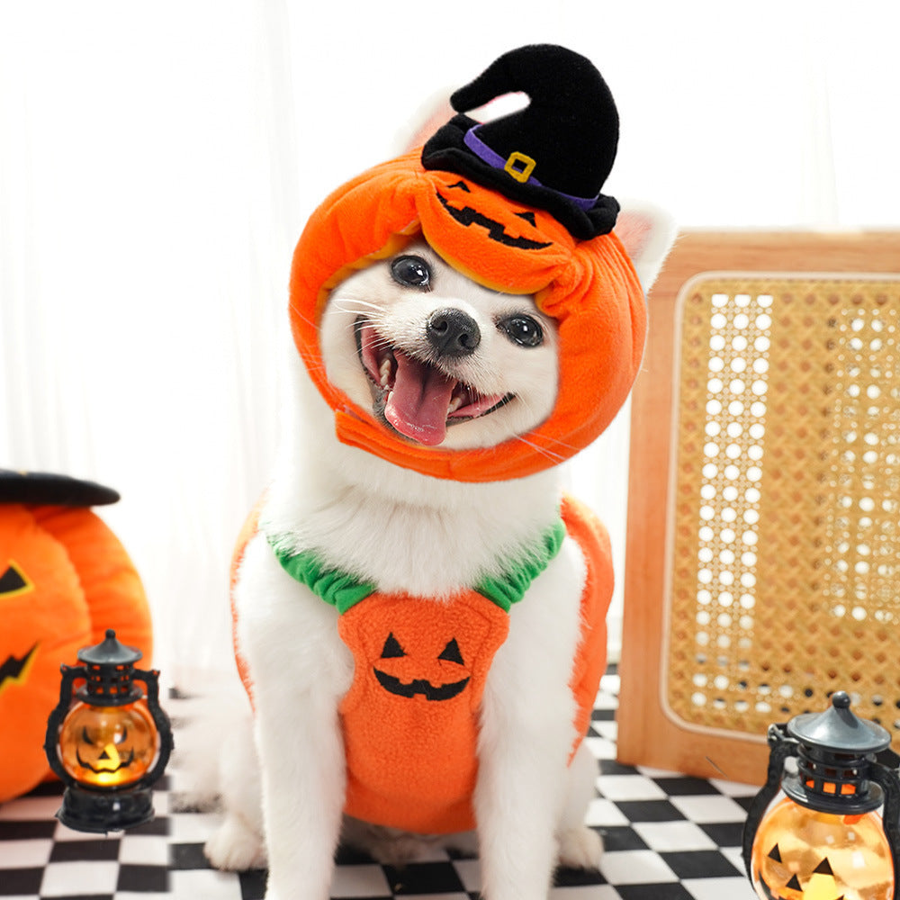 Halloween Pumpkin Vest Costume for Dogs, Cats & Small Animals – Funny Holiday Pet Harness Apparel for Halloween, Thanksgiving & Christmas